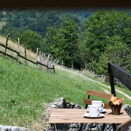 Abinkar * Tolmin