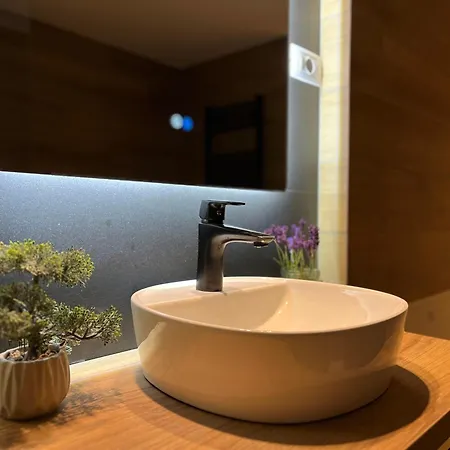 Apartman Abinkar Tolmin