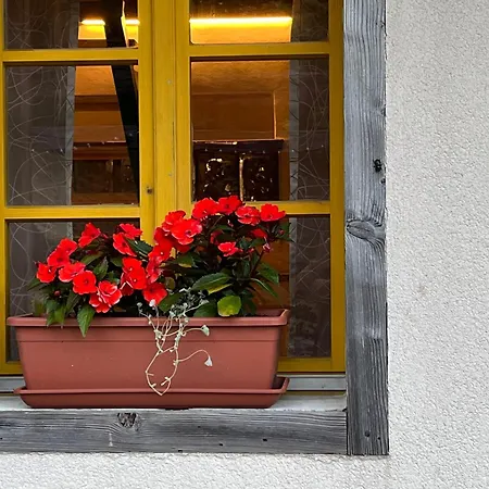 Abinkar Apartman Tolmin