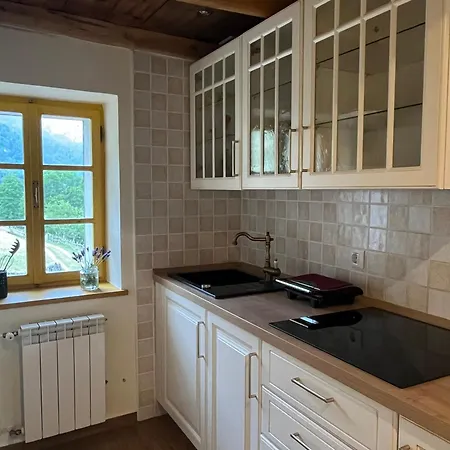 Abinkar Apartment Tolmin