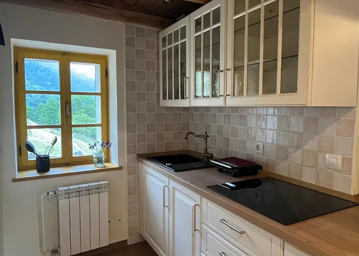 Abinkar Apartment Tolmin